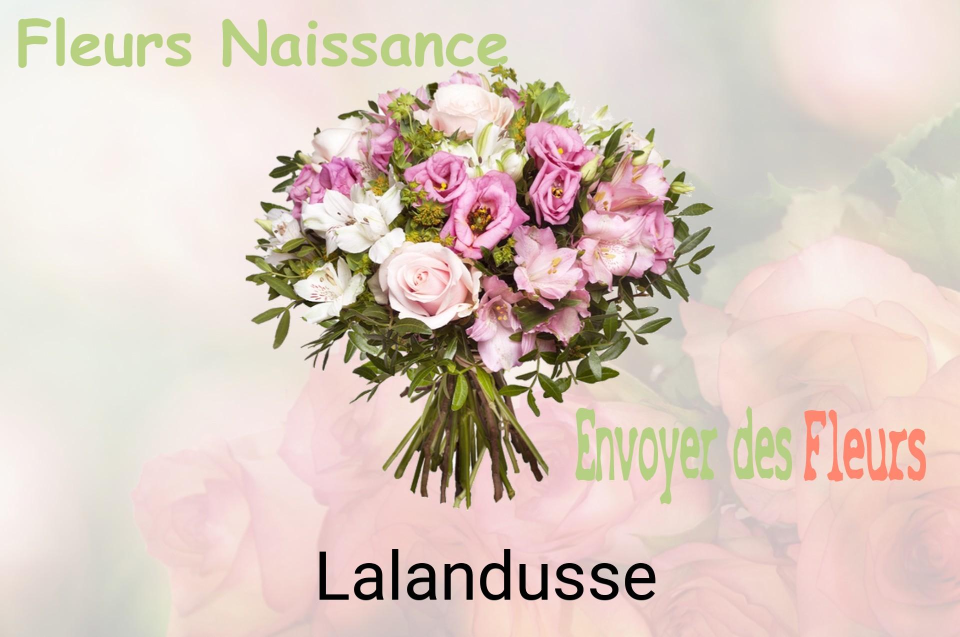 Bouquet de fleurs de naissance livré à Lalandusse